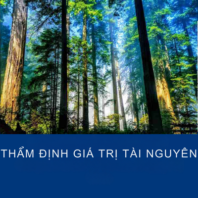 THẨM ĐỊNH GIÁ TRỊ TÀI NGUYÊN